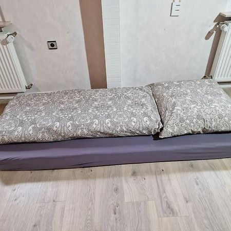 Grosszuegige Ferienwohnung 4+1 P. Büttelborn Buitenkant foto