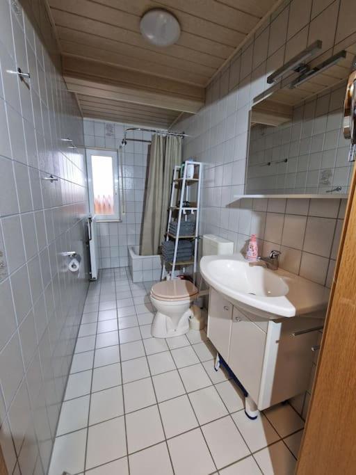 Grosszuegige Ferienwohnung 4+1 P. Büttelborn Buitenkant foto
