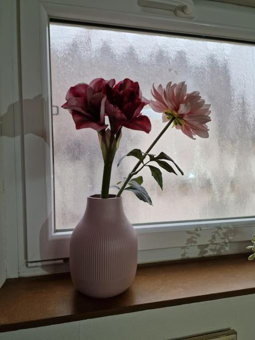 Grosszuegige Ferienwohnung 4+1 P. Büttelborn Buitenkant foto