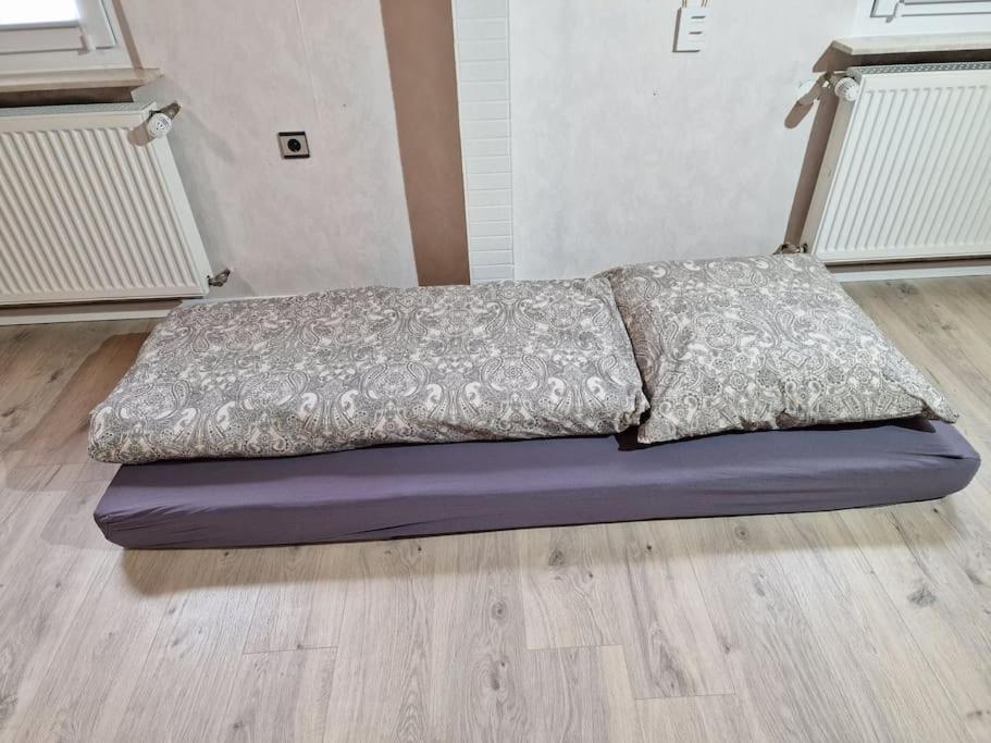 Grosszuegige Ferienwohnung 4+1 P. Büttelborn Buitenkant foto